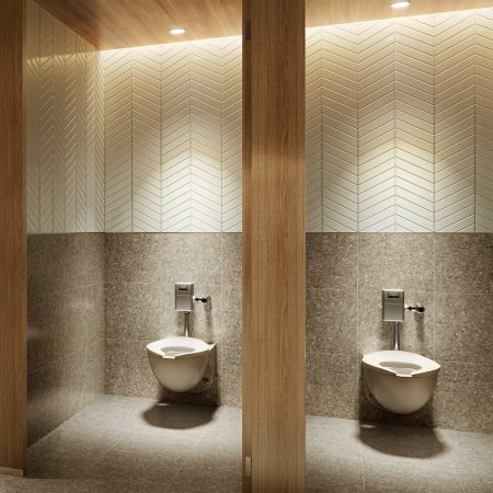 Commercial_Wall_Hung_Toilet_Exposed_Flush_Valve